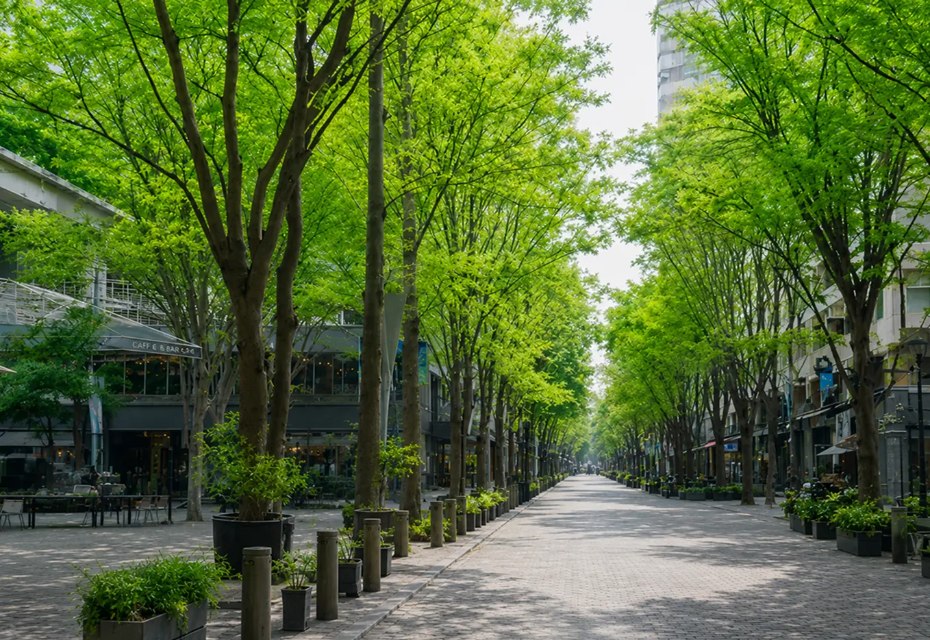 構想・投資